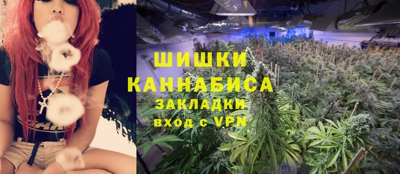 Каннабис SATIVA & INDICA  Каменногорск 